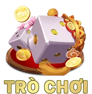 Hỗ Trợ 24/7 C88